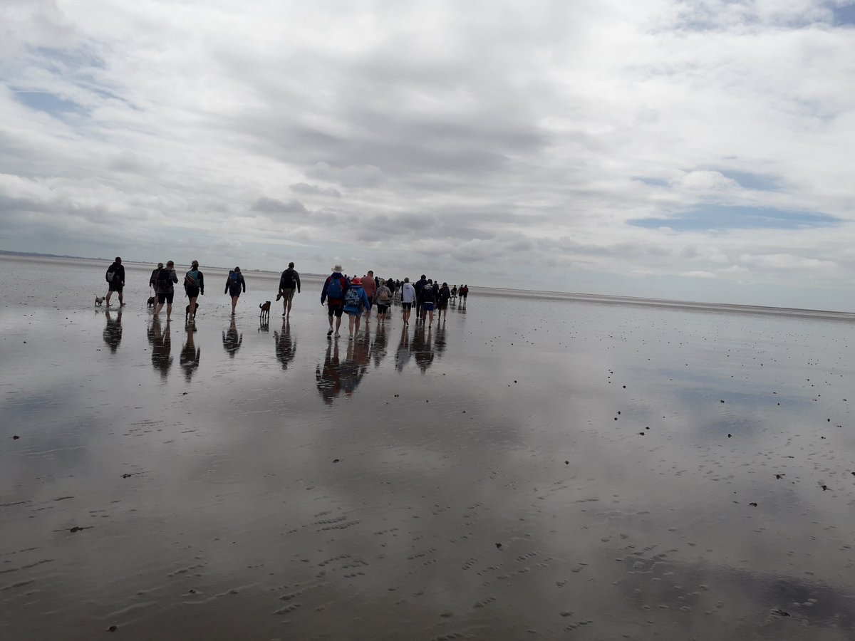 Alison J 💙 tweet media