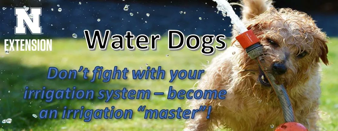 DouglasSarpyExt's tweet photo. Learn how to water  more efficiently, maintain a beautiful lawn and reduce overall water use.  
Where: Chalco Hills Rec. Center, Papio Missouri River NRD at 8901 So. 154th St., Omaha, NE
When: Aug. 9,  6-7 pm
Register (402) 444-7804
https://t.co/B0sxC7Jxey
@JohnFech @UNLExtension https://t.co/SorroA0Rfg
