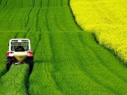 flc_crea's tweet photo. @SPatuanelli Da Ministro delle Politiche agricole nessuna differenza con i suoi predecessori: medesime iniziative, medesimi interlocutori, medesime aree di riferimento. Inattingibile per i Sindacati. Avrebbe potuto intervenire per gli #operaiagricoli precari @CREA_Ricerca ma non ha voluto. https://t.co/Z5nYd5YIlv