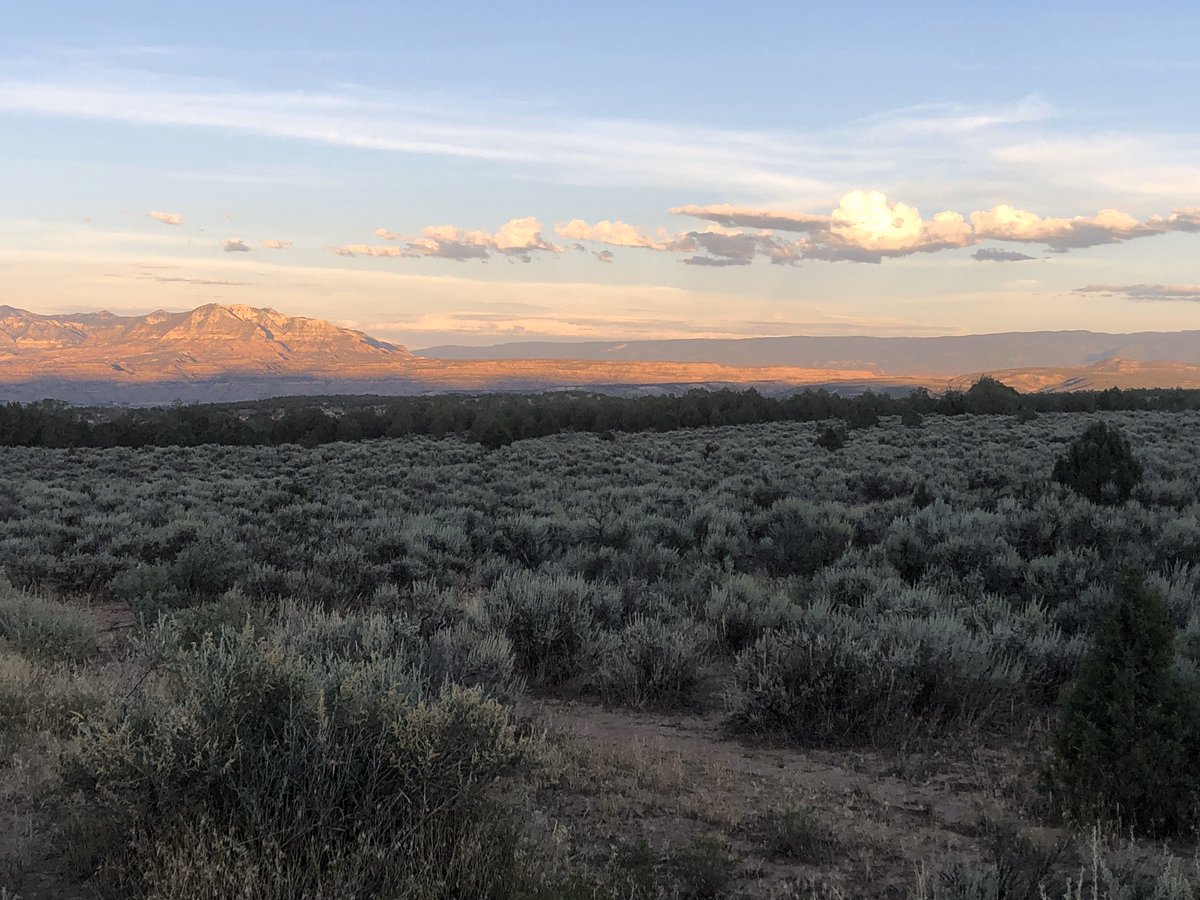 Jillybean2374's tweet photo. Solo adventure is good for the soul. ๐ค
#wander #mtngirl #bookcliffs https://t.co/0VVxipShX3