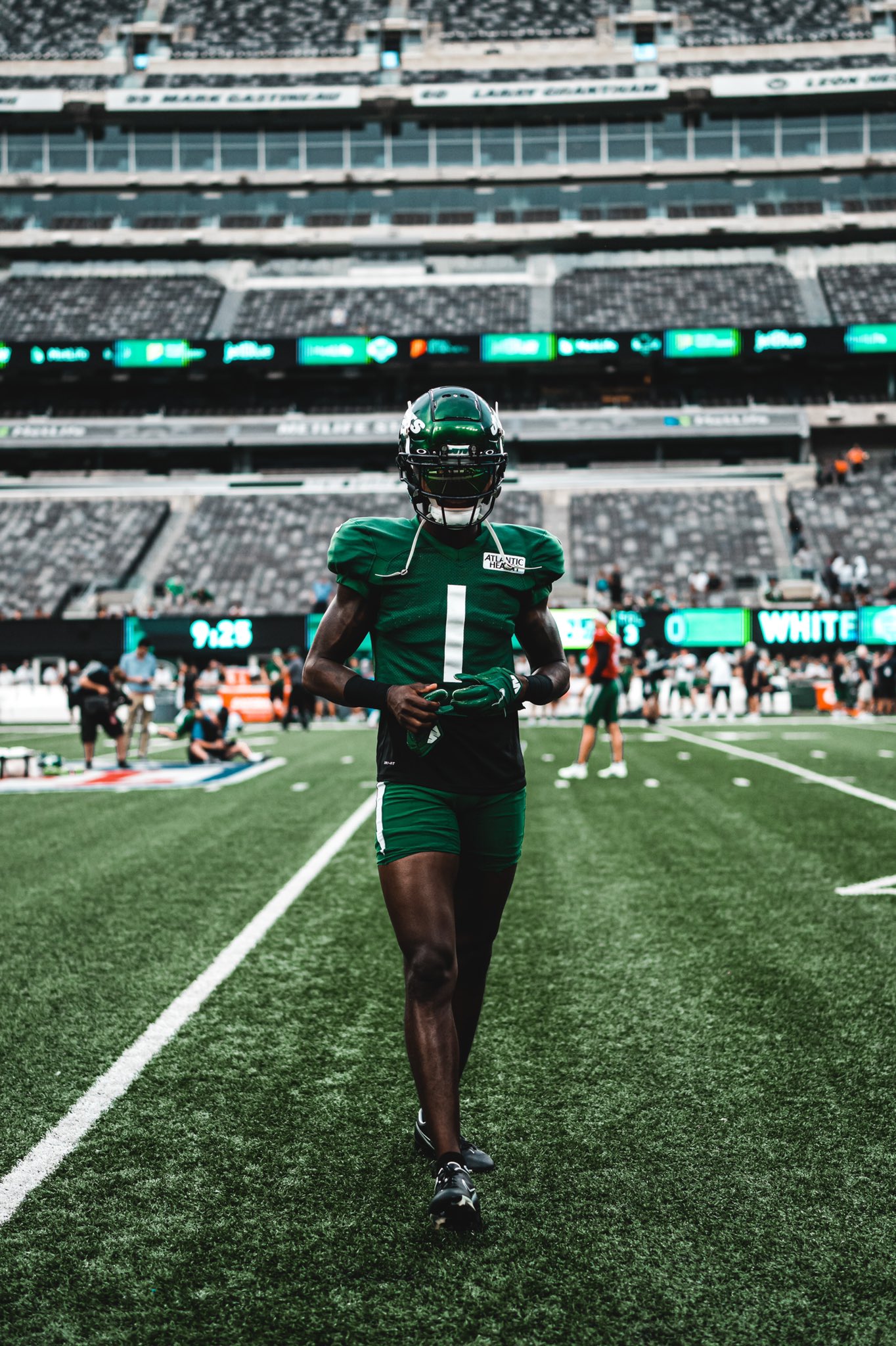 Details more than 55 sauce gardner wallpaper latest in.cdgdbentre