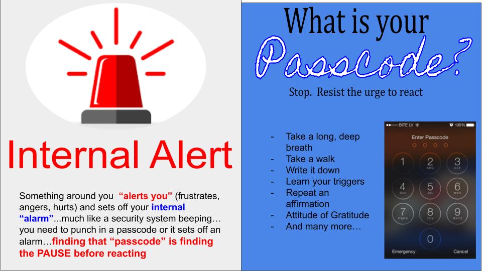 Stephanie Klaffke tweet media