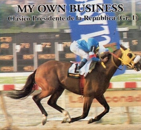 rumberosx's tweet photo. @TvesSonrie #clubhipicoxtves   Para mi el mejor jinete de My Own Business  fue el Ángel de la Paz  Ángel Alciro Castillo, les dedicó  los triunfos de Futuro y del gigantón El de Froix suerte al stud Alvajos. https://t.co/kVpqaCjPgd