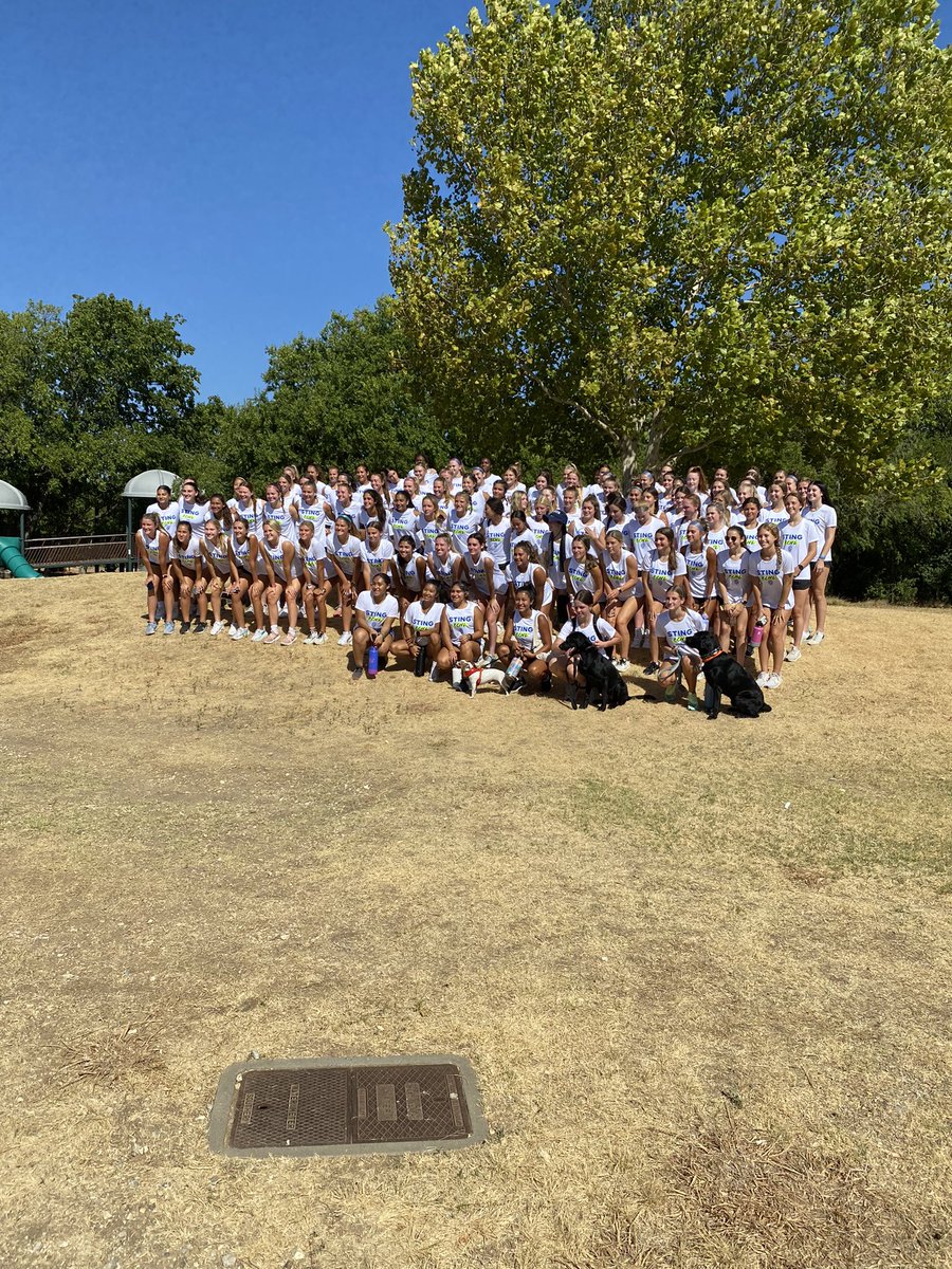 andy_kaasa's tweet photo. Perfect morning for our @StingBlackRL &amp; @StingBlackEcnl 5K fundraiser. Some of you can really fly! To all of the players I beat you now have something to strive for🙌🏃🏃🏻‍♂️ 

Shoutout to @MarcusKelcher for running both 5Ks and crushing the event https://t.co/VxdEQvV20S