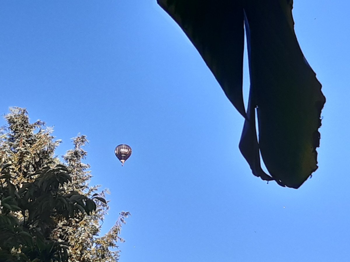 Hot Sundays and no home pool. Holiday soon..... So an early evening for the pre-holiday infinity (paddling) pool, a bottle of rosé, blue skies, and hot air balloons and banana leaves as a canopy! When in Bath... do as the Romans once did in Bath!