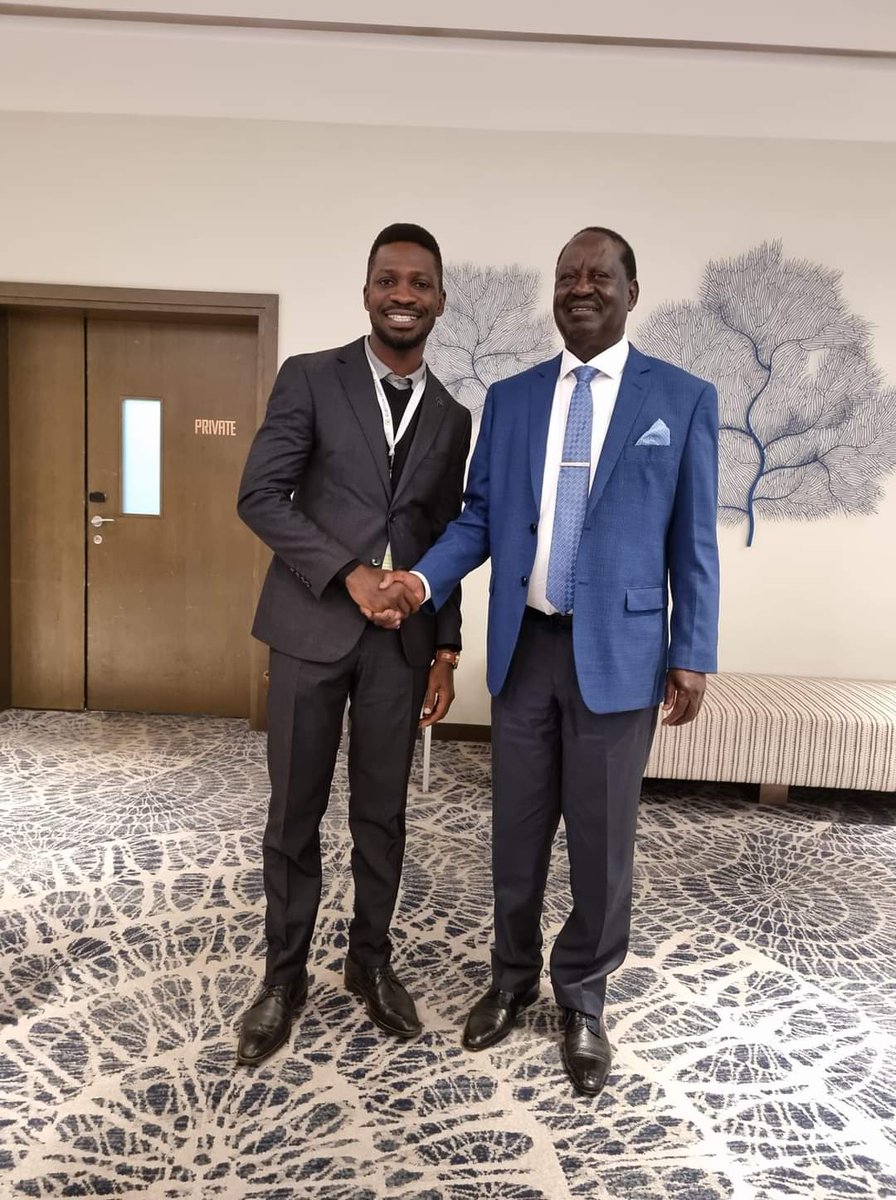 As part of our mission to observe the #KenyaDecides2022 this Tuesday, I was glad 2 meet & interact w/ Presidential Candidate Rt. Hon. @RailaOdinga. Another part of our team met w/ Candidate @WilliamsRuto. Wshng the great ppl of Kenya a free, fair, credible and peaceful election.