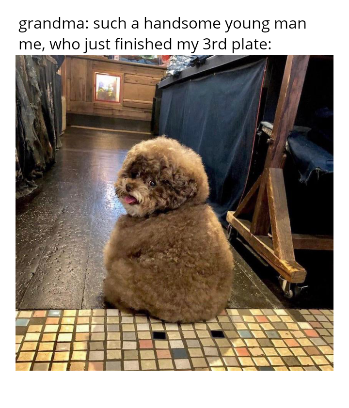 WholesomeMeme's tweet photo. https://t.co/OKv08F0v9m
