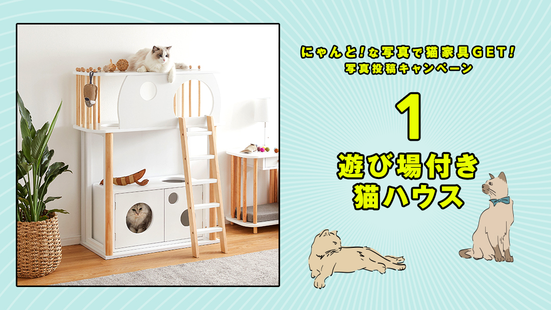 lowya's tweet photo. ／
🄻🄾🅆🄽🅈🄰の猫家具を
抽選で4名様にプレゼント🎁✨
＼

⏬応募方法
①@lowyaをフォロー
②欲しい番号、#うちの猫最高、愛猫のにゃんと！😻な衝撃写真or動画を付けて、この投稿を引用RT🔁

⏰8/15(月) 23:59まで

▼詳細はスレッドへ

#世界猫の日 #猫好きさんと繋がりたい🐈
#懸賞 #プレゼント https://t.co/8iMS15YHLE