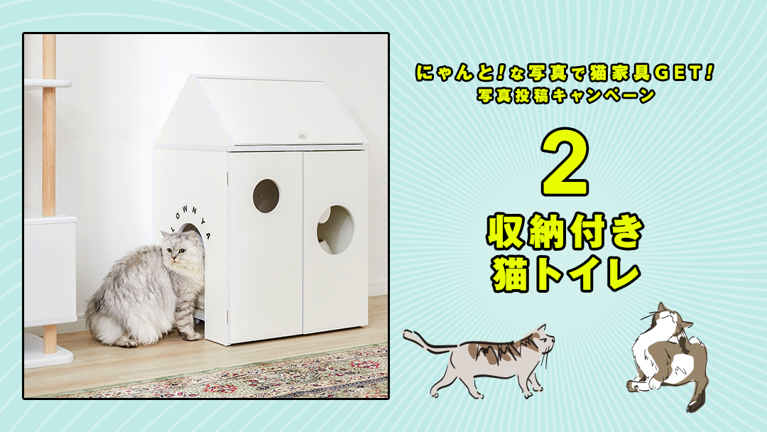 lowya's tweet photo. ／
🄻🄾🅆🄽🅈🄰の猫家具を
抽選で4名様にプレゼント🎁✨
＼

⏬応募方法
①@lowyaをフォロー
②欲しい番号、#うちの猫最高、愛猫のにゃんと！😻な衝撃写真or動画を付けて、この投稿を引用RT🔁

⏰8/15(月) 23:59まで

▼詳細はスレッドへ

#世界猫の日 #猫好きさんと繋がりたい🐈
#懸賞 #プレゼント https://t.co/8iMS15YHLE