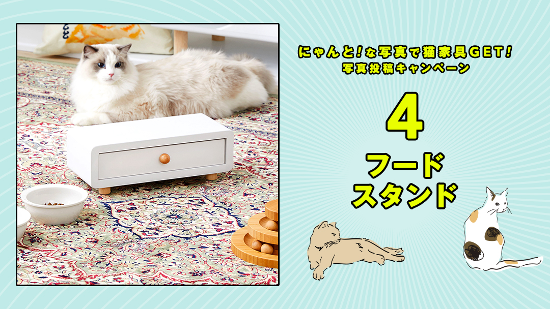 lowya's tweet photo. ／
🄻🄾🅆🄽🅈🄰の猫家具を
抽選で4名様にプレゼント🎁✨
＼

⏬応募方法
①@lowyaをフォロー
②欲しい番号、#うちの猫最高、愛猫のにゃんと！😻な衝撃写真or動画を付けて、この投稿を引用RT🔁

⏰8/15(月) 23:59まで

▼詳細はスレッドへ

#世界猫の日 #猫好きさんと繋がりたい🐈
#懸賞 #プレゼント https://t.co/8iMS15YHLE