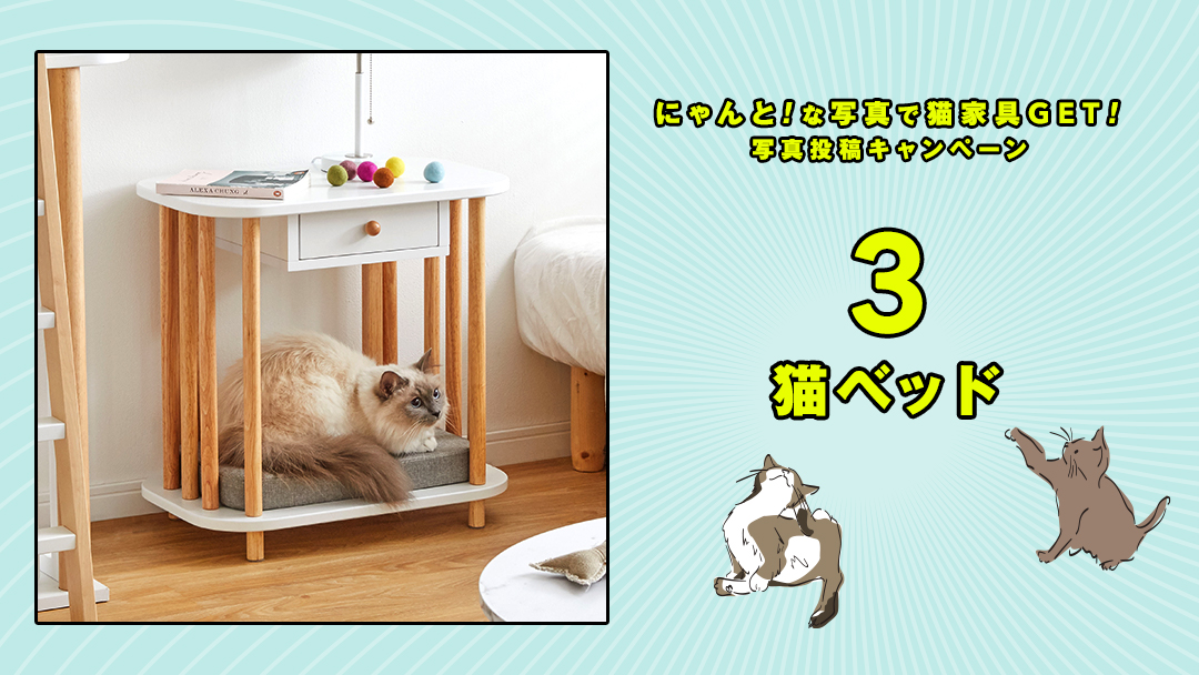 lowya's tweet photo. ／
🄻🄾🅆🄽🅈🄰の猫家具を
抽選で4名様にプレゼント🎁✨
＼

⏬応募方法
①@lowyaをフォロー
②欲しい番号、#うちの猫最高、愛猫のにゃんと！😻な衝撃写真or動画を付けて、この投稿を引用RT🔁

⏰8/15(月) 23:59まで

▼詳細はスレッドへ

#世界猫の日 #猫好きさんと繋がりたい🐈
#懸賞 #プレゼント https://t.co/8iMS15YHLE