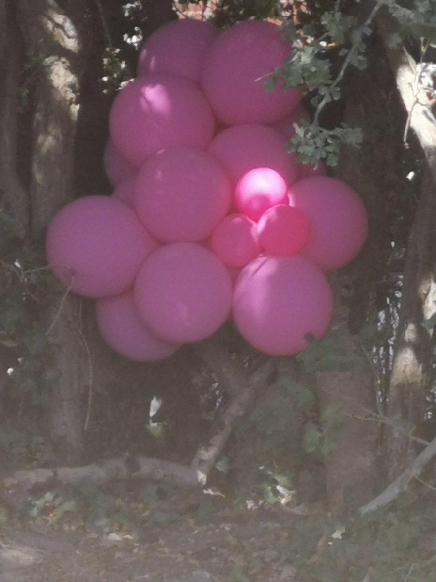 мєℓєиιє tweet media