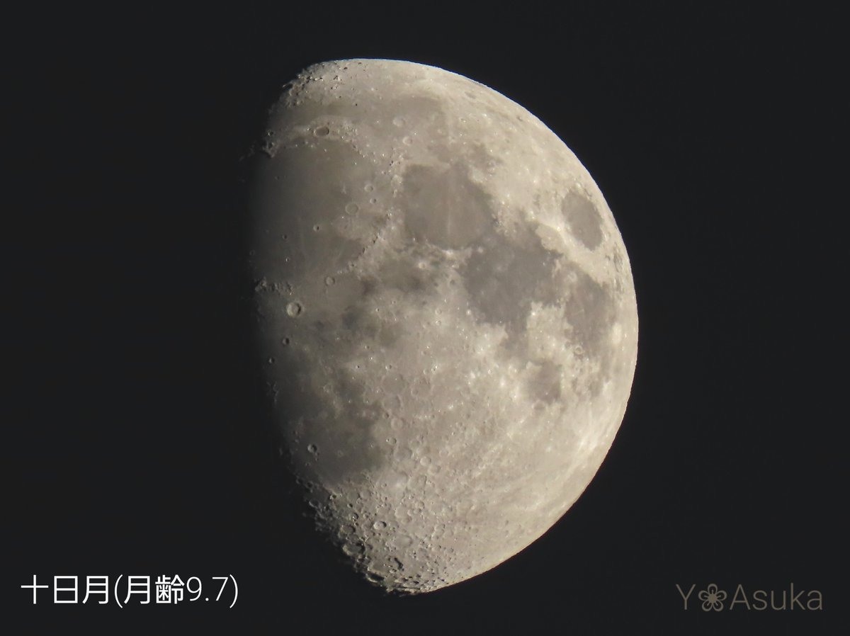 yumeasutw's tweet photo. 月が綺麗ですね🌔

お疲れ様です🏁
西の彼方がほんのり色付く #夕暮れ 🌆
#ブルーモーメント の南の空に
🌔 #十日月 (月齢9.7)が
輝いています✨

#久しぶりのお月様
#空の名前
#雲の教室
#天気の図鑑 #雲友
#ブルーアワー #薄明
#夕空 #夕焼け #鉄塔 #電柱 #電線
#a2022 #a0806 #a202208 https://t.co/WpvQq2uQRM