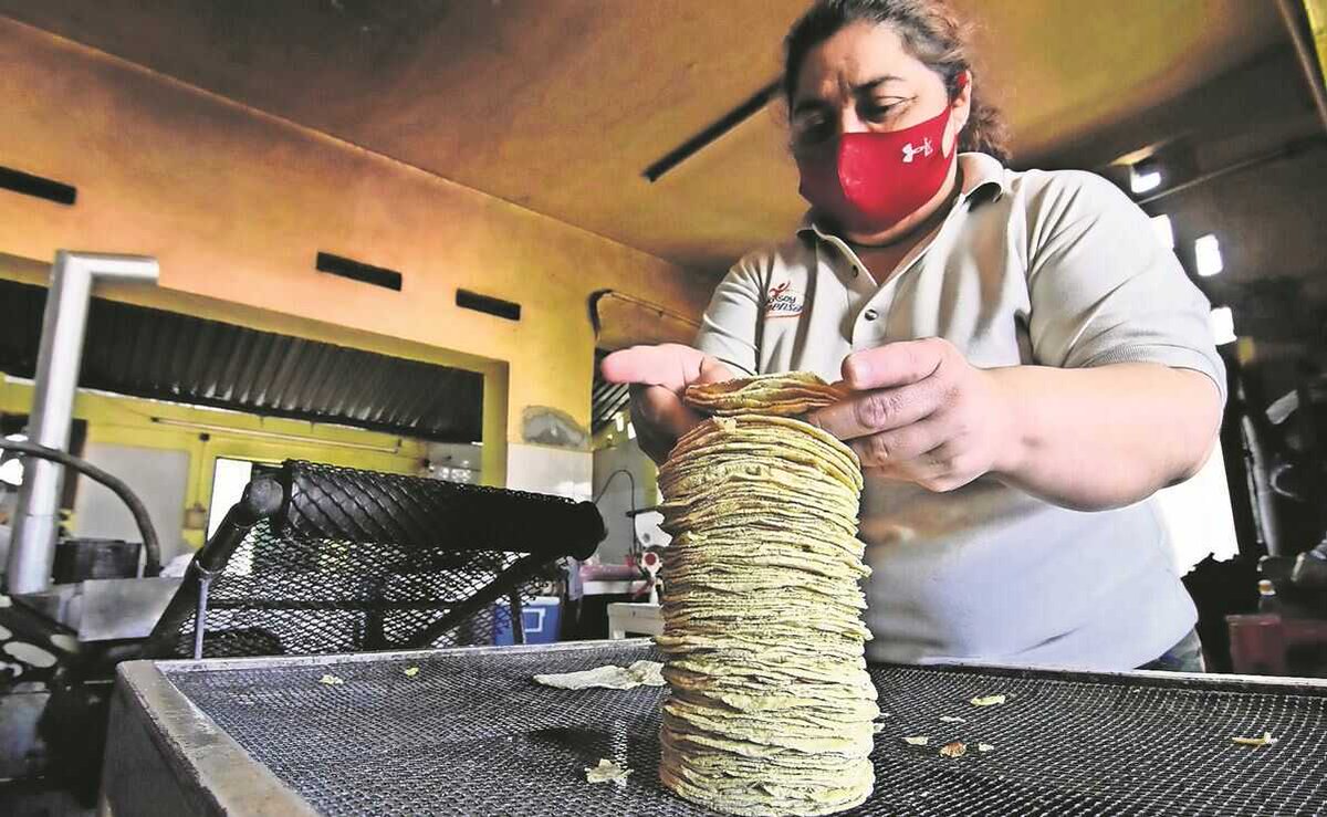 MVMNoticias's tweet photo. 🫓 ¡Ojo tortillas piratas!
En cuatro Estados de la República han detectado que en algunas #tortillerías no les están vendiendo el producto tradicional sino que estas son elaboradas con más #olotes y no con #maíz. https://t.co/5xanrIxQ1n