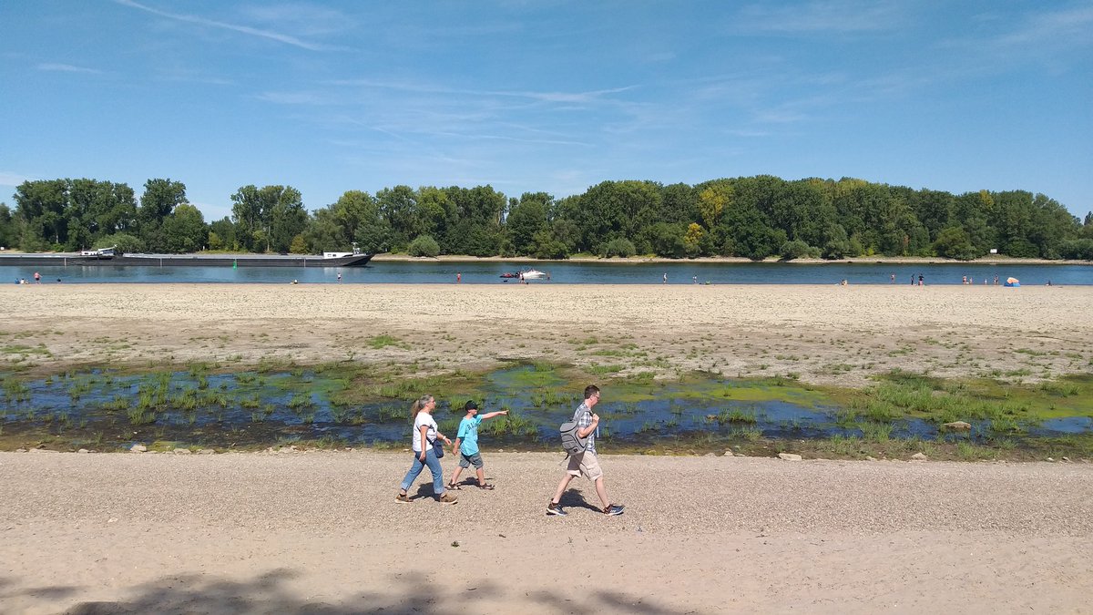 aCoerper_Mainz's tweet photo. Warum nicht am Wochenende die Gefahr suchen und am neuen Ufer des #Rhein in #Mainz #Laubenheim 30m von der verbliebenen #Schifffahrtsstrasse mit den Bälgern zum Plantschen gehen? https://t.co/CZYOLnay31