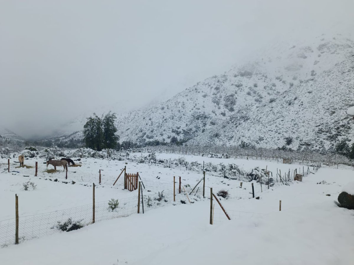 denis_cortes's tweet photo. Así amaneció una vez más #ElPiche
En #Illapel cubierto de ❄️❄️❄️
@MUNI_ILLAPEL 
@Sepulinares @michelleadamv @gmarconeweather @cristobaljuliav @cristobalreus https://t.co/GdrJglouzx