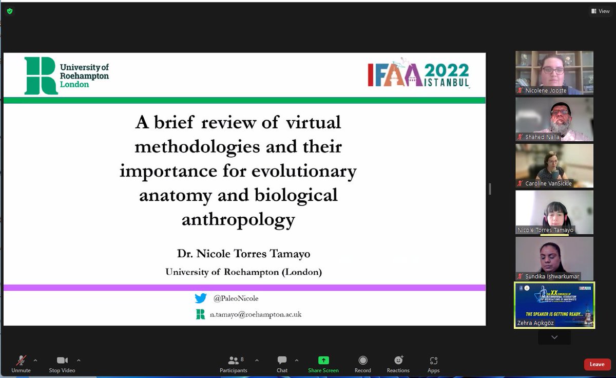 Shahed N tweet media