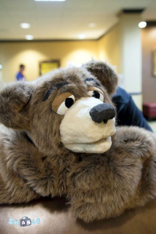 THE_BJBUTTONS's tweet photo. "No Name" bear one of my #bear puppets @Mephitfurmeet #mephitfurmeet #mephit #mephit2016 For more info on #Mephit2022 please visit https://t.co/uTMLvwAxFv https://t.co/tbUDvWstRc