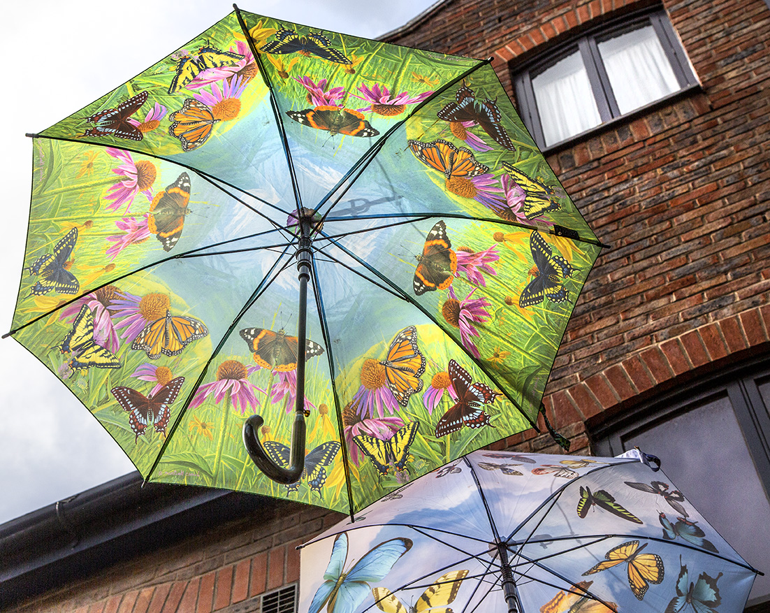 LazloUzala's tweet photo. Coppergate umbrella walk York @coppergateyork @VisitYork @peac4love @sweetrhythms @ThePhotoHour @MartinaRosemann @HarmonyMindBody #Coppergate #umbrella #walk #York https://t.co/32kXq58eoK