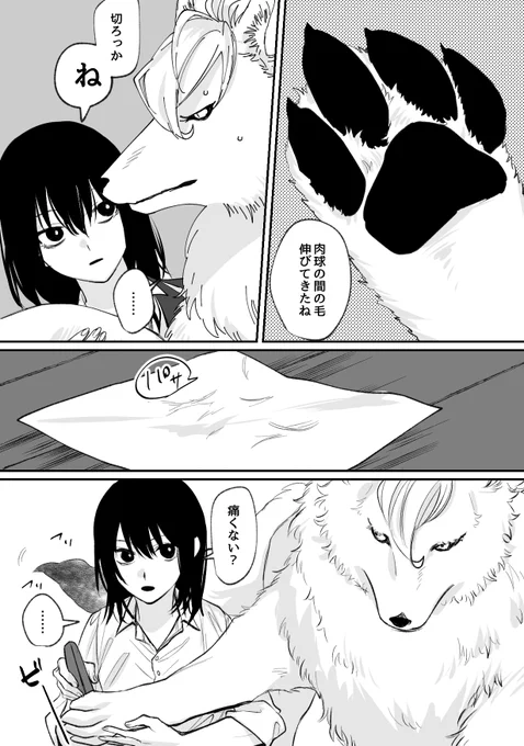 🐺姿の足の裏の毛を刈る漫画(※ジャク監)(※顔あり女監督生)(1/2)全部注意です 