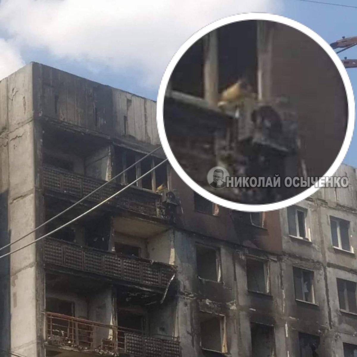 Anton Gerashchenko on Twitter "A shepherd dog lives all alone in a