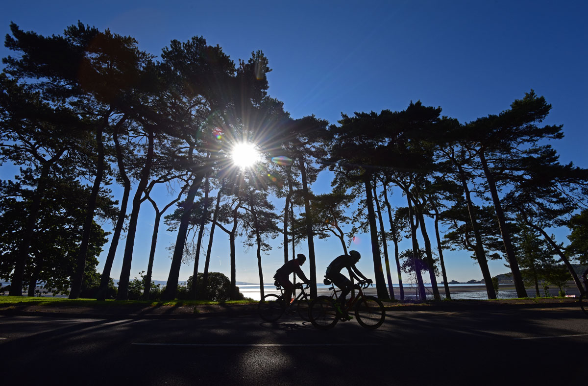 Anthony Dyke tweet media