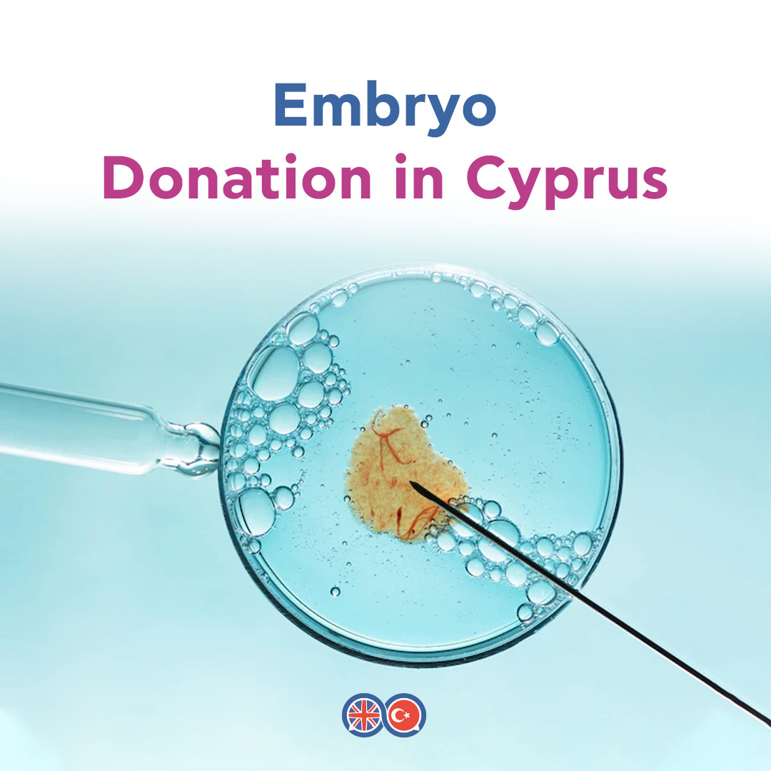 DunyaIVF's tweet photo. ➡️ At Dunya IVF we suggest Embryo Donation when the female cannot get pregnant with her eggs and when the male does not have sperm that can fertilise the egg.
#ivfhealth #fertilitytips #ivfspecialist #ivfstruggles #ivfcyprus #ivfgotthis #dunyaivf #ivfhelp #embryodonation https://t.co/jdFPOsa7Ra