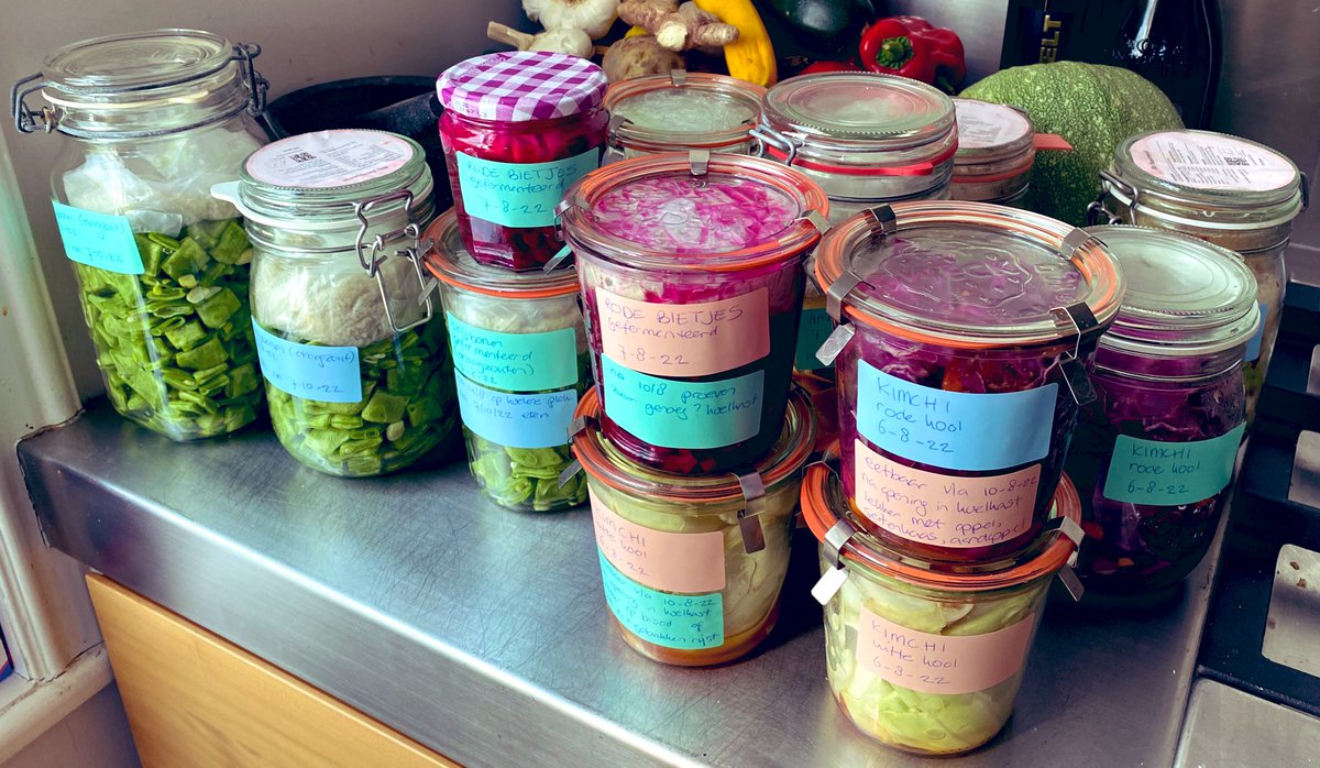 snuk42's tweet image. Potje gefermenteerd dit weekend. Snijboon, biet, kool en aardappel.