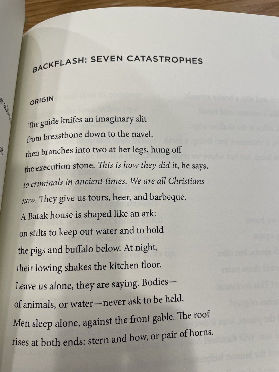 Elizabeth Lindsey Rogers (@elizabethlinds) an excerpt from “Backflash: Seven Catastrophes” #TheSealeyChallenge Day 7