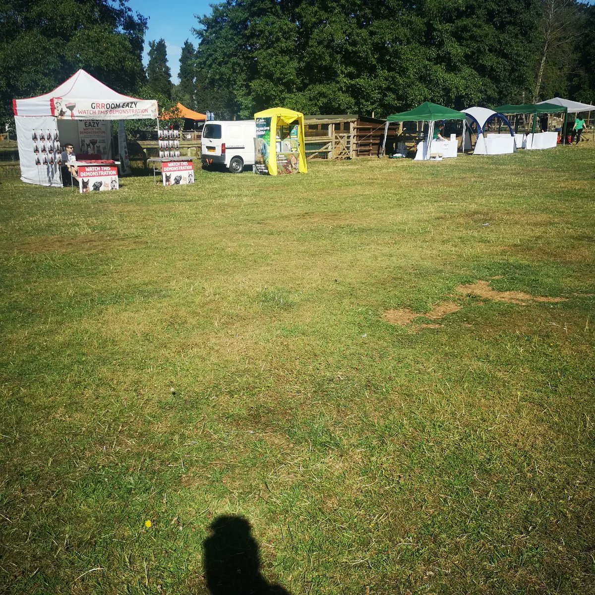 melcarrol's tweet photo. #Sunday #Dayout

@OldDownManor
#countryfayre
#DogShow2022
#wildanminals
#sheep
#dove
#wholetthedogsout
#fortheloveofmusic 
@melcarrol
@CarmenCarrol1 https://t.co/Lp1HHJvlw6