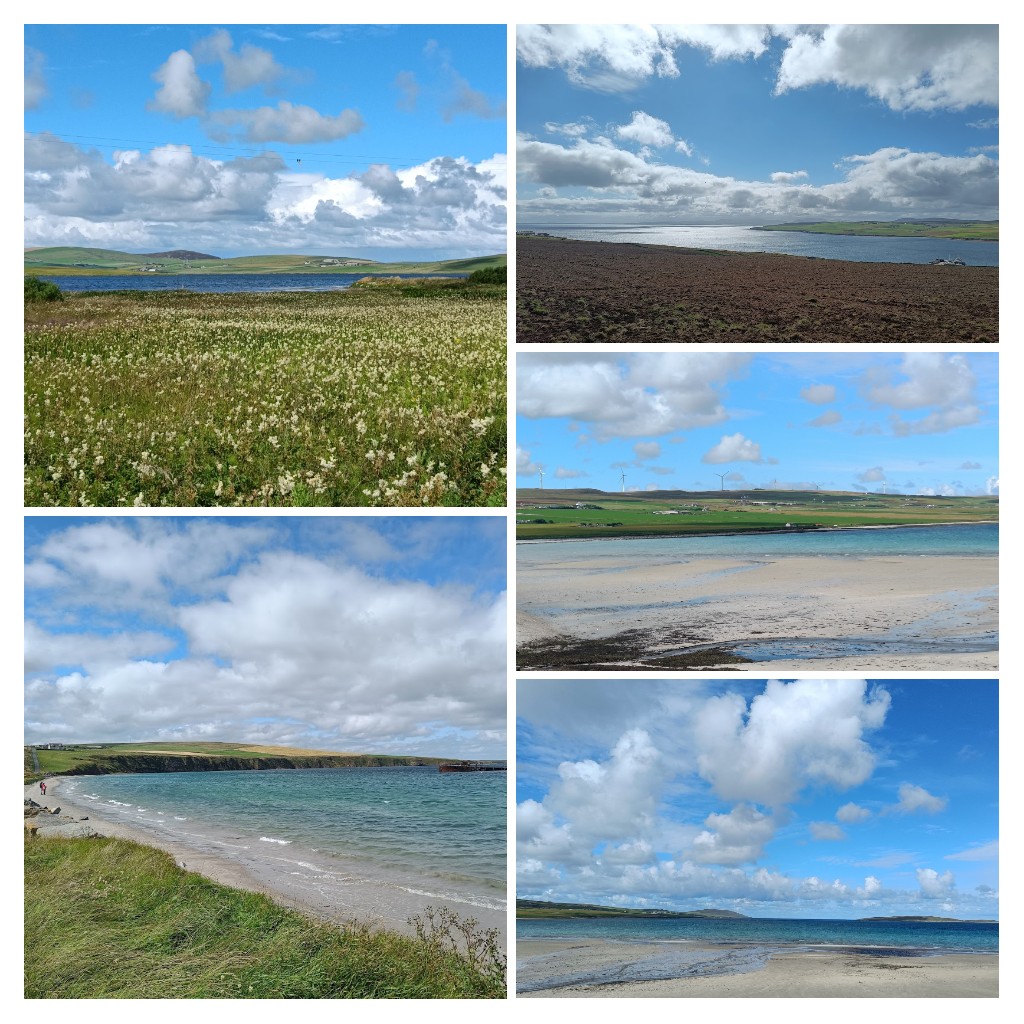 5) and beautiful wild places to unwind in when I caught them in sunny moments between the bitter (summer?!) squalls 😎 #ruralGPopportunities #AimHighAimHighland (or Orkney!)