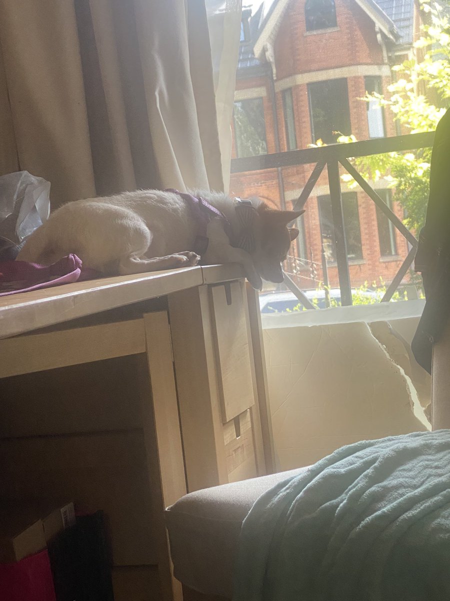 Keeping eye on  my chopper