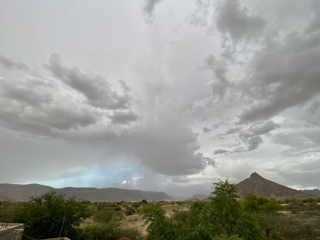 قد كنتُ أدعو لكم والأرضُ قاحلةٌ
فكيفَ أغفلُ عنكم ساعةَ المطرِ؟."

#مساء_المطر 😍
#بيحان 
#شبوة