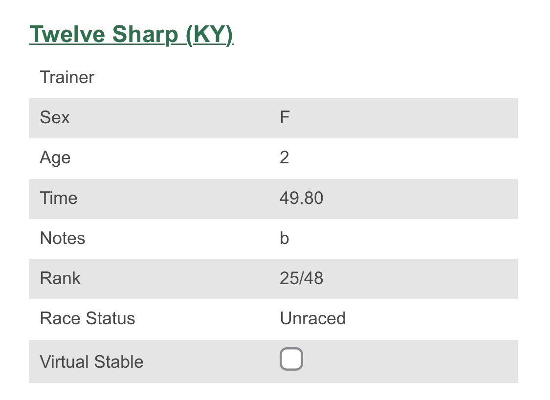R6Stables's tweet photo. Steady work, finished better than last week, but was reluctant to pass the horse she was partnered with - going to add blinkers next week. https://t.co/gehT0cVoAV
