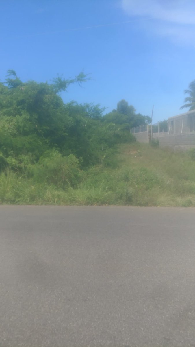 sheloms's tweet photo. Vendo terreno de 22.5 tareas, en comunidad Dios dira, C/Palenque -San C.,  a 2.6 km de la playa Najayo 
Cel 8494528764 https://t.co/IGG4YZ8IT7