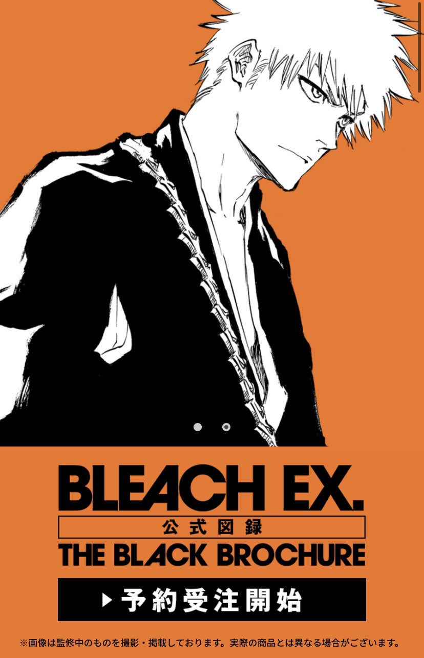BLEACH EX. 公式図録 THE BLACK BROCHURE