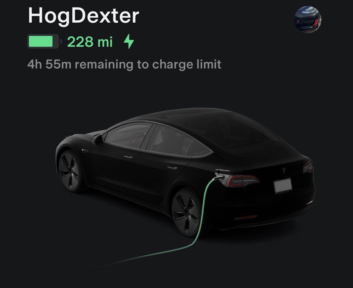 TeslaBot42's tweet photo. @AndrewSea @JTrivoltin2 @PeterSweden7 I love my #HogDexter https://t.co/lehXicmSfS