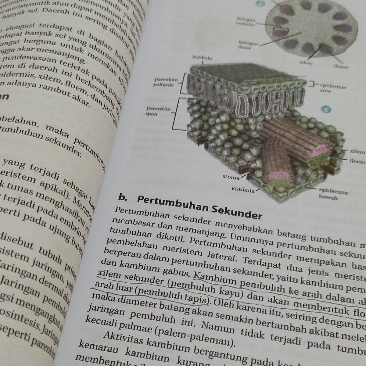 studfie's tweet image. — ✰ study progress !!  ۰ ་ ⋆
            ꒰ 07/08/22 ꒱

belajar bio dikit aja hari ini karna sibuk bgt ada acara di rumah, bismillah besok pagi ngebut tugas bindo🤲🏻