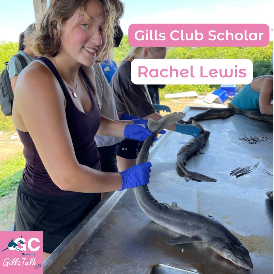 GillsClub's tweet photo. We have Gills Club Scholar,  Rachel Lewis, on the newest episode of Gills Talk! We learn about Rachel's time at @ShoalsMarineLab, how shark research is organized chaos, and how important it is to learn your work-life balance early on. Enjoy!
https://t.co/2JKAdnLHsU https://t.co/ne0KkvTKqV