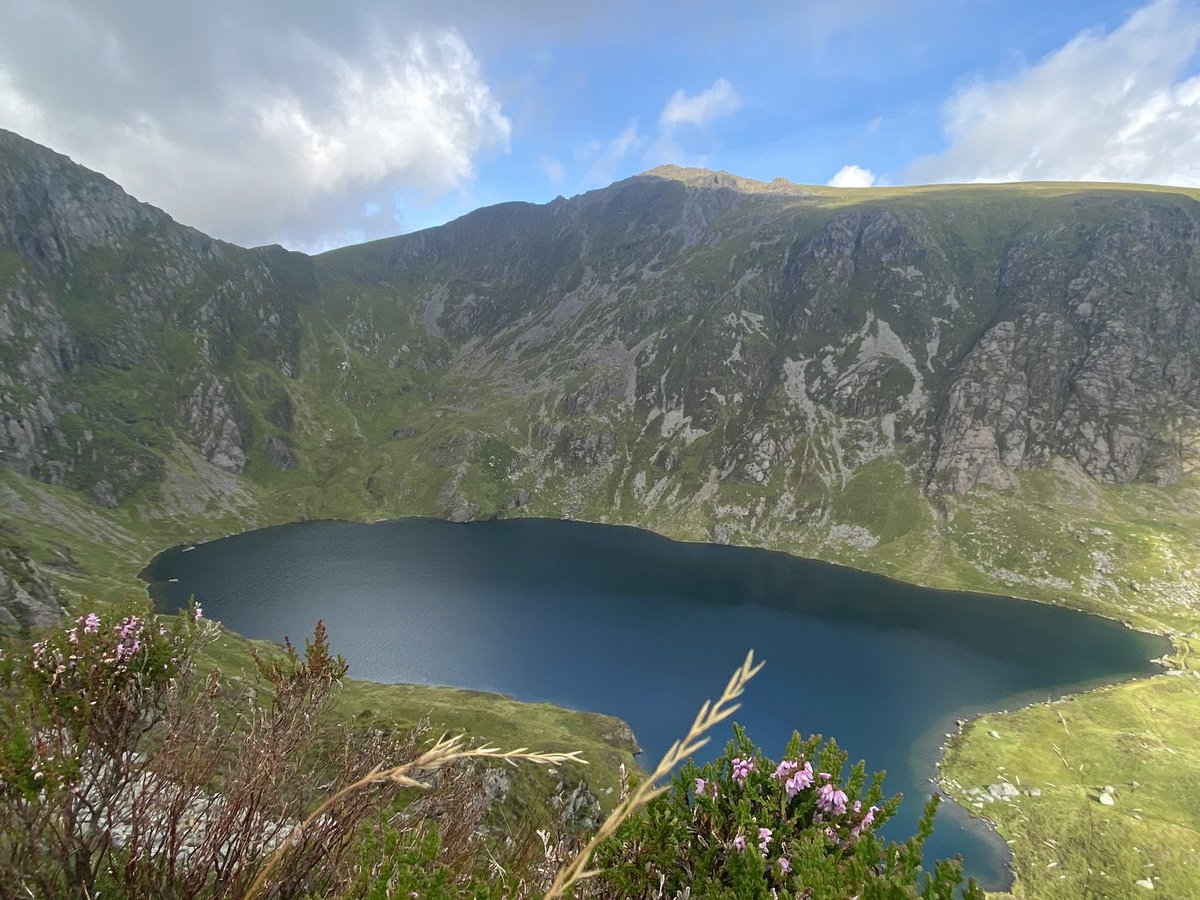 improvemydiet's tweet photo. More views from the top.
#hiking
#ExerciseWalk
#LlynCau
#Cymru https://t.co/5MavOXPRED