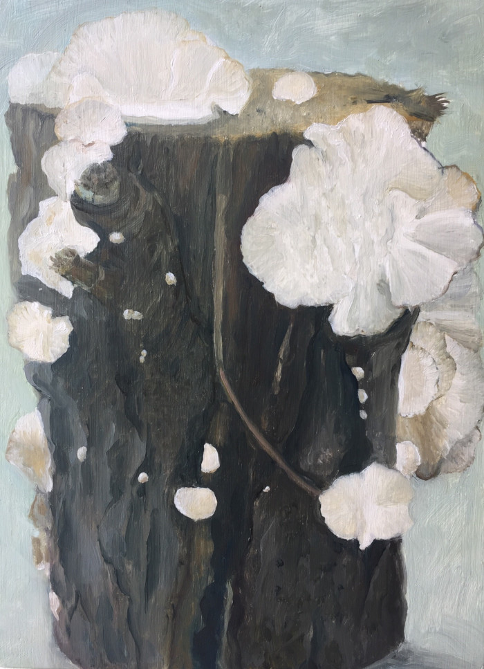 Jenny Richardson's "A Lovely Log" is upstairs in the Mezzanine alongside others. Oil on timber, 20 x 15cm.

#fineart #westcork #castletownbere #contemporaryart #fineartpainting
