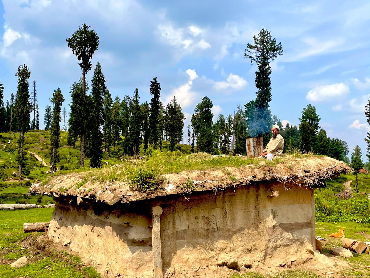 listenshahid's tweet photo. At 6.12 Lakh J&amp;K has the world’s largest Transhumant population. Lal Hussain, 46, travels 294KM from Khwas Rjr to Dalelpathri in Pulwama every year for livestock grazing.This year a tent,solar light &amp; 🛻 is the only support he received till date.That reflects our challenges ahead https://t.co/jUZlX6pEbN