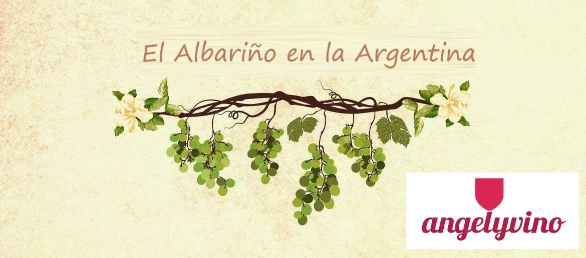 🆕NUEVA NOTA🍇
Hoy cierran los festejos de la Semana del #Albariño, y sacamos de un tirón esta mañana esta nota:
¿Conoces los Albariño Argentinos?
Nunca te vas a aburrir con El Ángel del Vino!! 
#vino #vinoargentino
LINK➡️ bit.ly/3oYvpoz