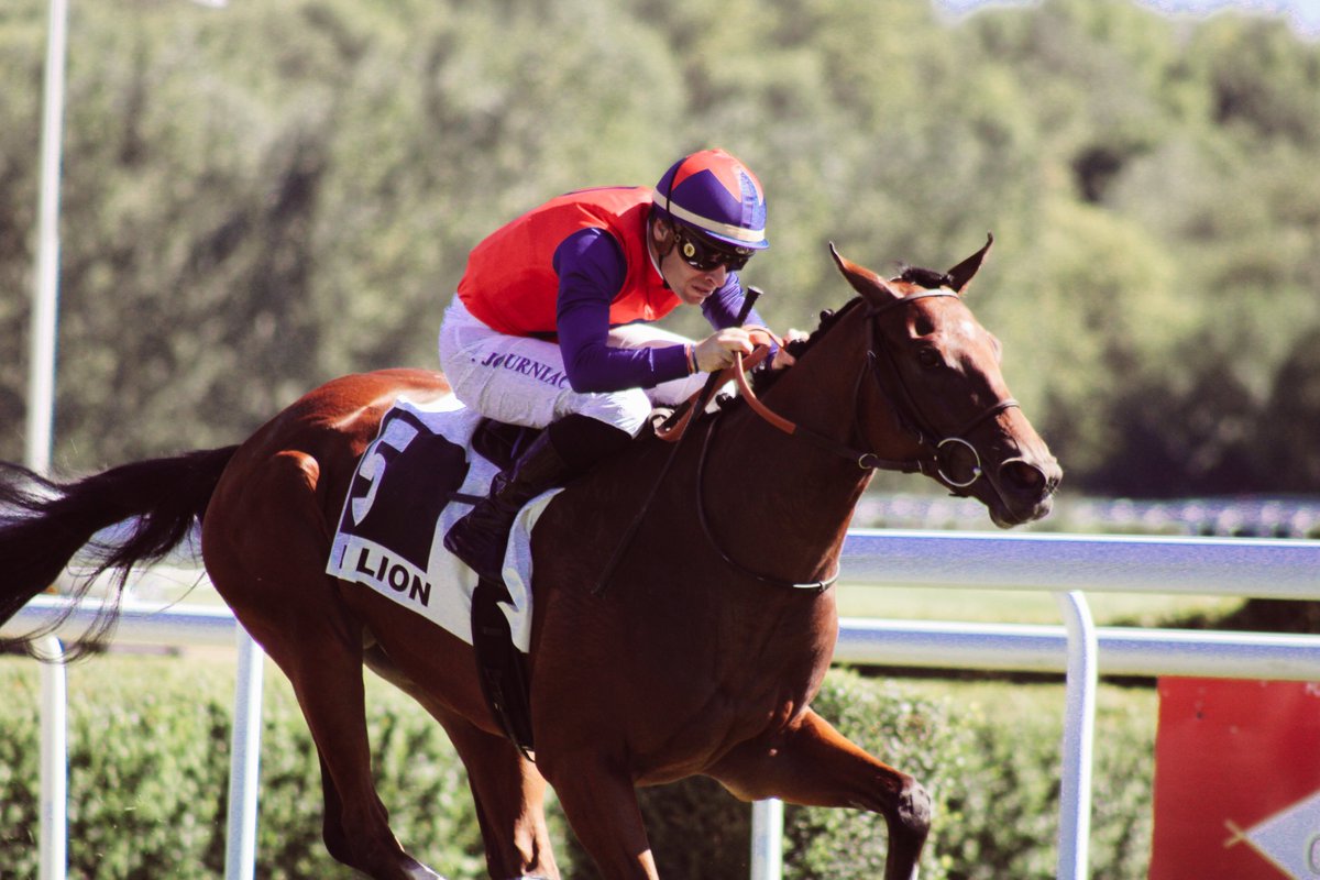 Hippodrome du Lion d’Angers tweet media