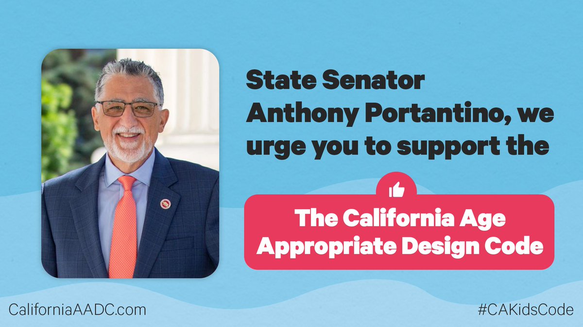 ptogetheraction's tweet image. Join us in urging State Senator @Portantino to support the California Age Appropriate Design Code. It's time for California to lead the nation in protecting kids online with the #CAKidsCode: californiaaadc.com