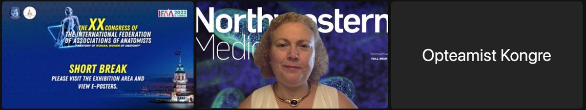 Hande Ozdinler tweet media