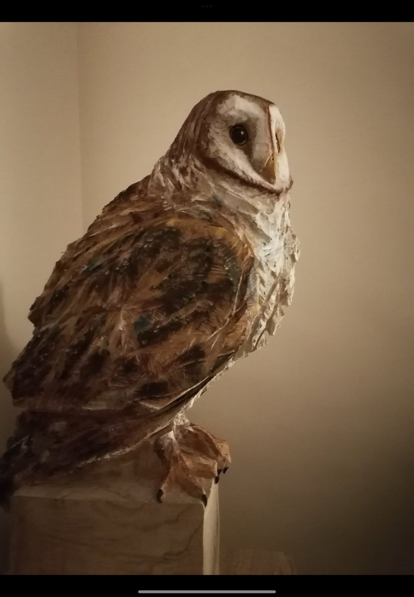 KCjoe (@kcjoe2022) on Twitter photo 