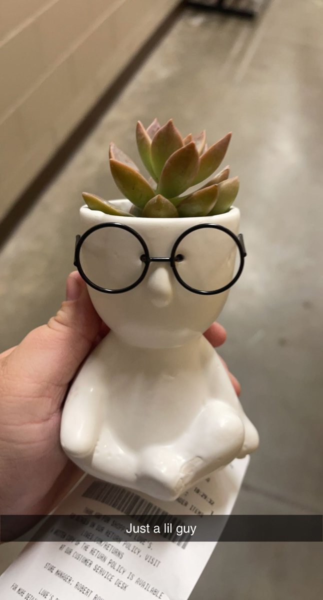 MissHalley_'s tweet photo. @Waelie_ So cute!!! Look what my boyfriend got me! His name is Joe https://t.co/Z1C8C6EMVc