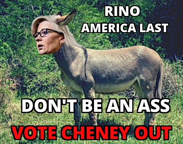 EmuHugger's tweet photo. #VoteCheneyOut #DontBeAnAssVoteOutAmericaLast #GreedyOldPoliticians #RinosNeedToGo #Rino #TakeBackOurParty #CutTheCrapShow https://t.co/EoyEU69hxs