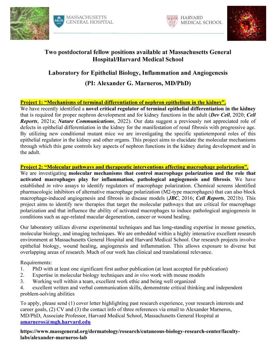 Marneros Laboratory tweet media